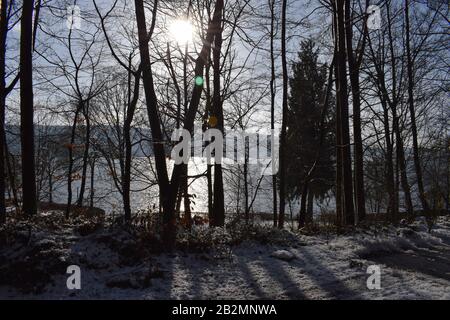 Neige sur l'Eifel près de Maria Laach Banque D'Images