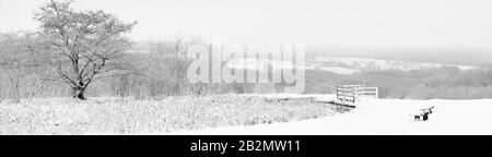 Paysage d'hiver panoramique de la campagne anglaise en noir & blanc / mono avec étang d'arbres et bois au-delà Banque D'Images