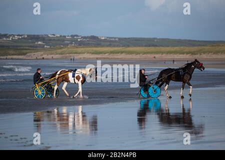 Banna Beach, Irlande - 20 octobre 2019: Hommes équitation chevaux sur des charrettes, plage de Banna sur la côte ouest de l'Irlande Banque D'Images