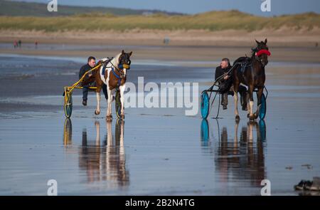 Banna Beach, Irlande - 20 octobre 2019: Hommes équitation chevaux sur des charrettes sur la plage, Banna plage sur la côte ouest de l'Irlande Banque D'Images