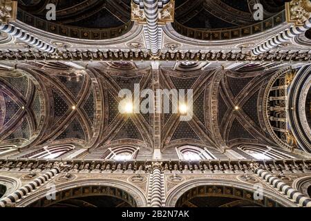 Détail plafond de la nef principale du dôme de Sienne (Duomo) avec des étoiles et des sculptures pendant la journée Banque D'Images