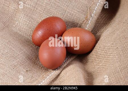 Œufs de poulet sur un sac de Hesse de bouloise Banque D'Images