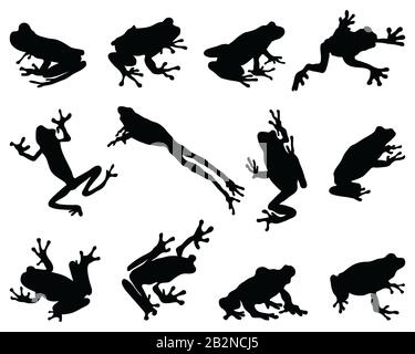 Silhouettes noires de grenouille sur fond blanc Banque D'Images