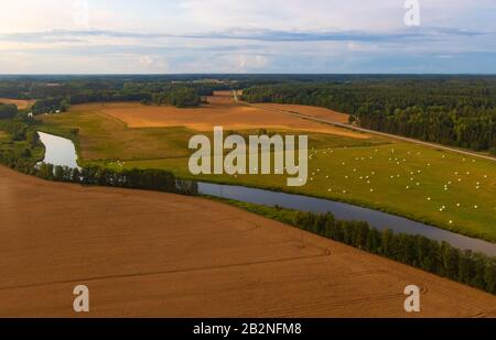 Vue aérienne de la campagne suédoise avec les terres agricoles, les forêts vertes et les champs de blé vus de l'avion volant à l'aéroport de Scavsta après la tempête estivale Banque D'Images