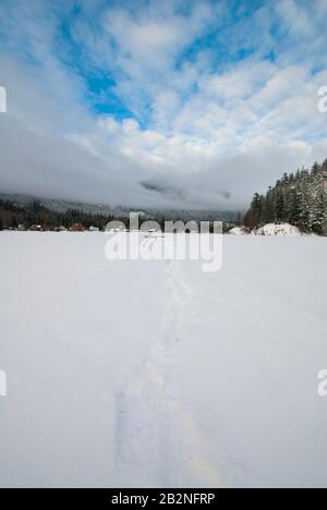 Glace d'hiver sur le lac Errock à Mission, Colombie-Britannique, Canada Banque D'Images