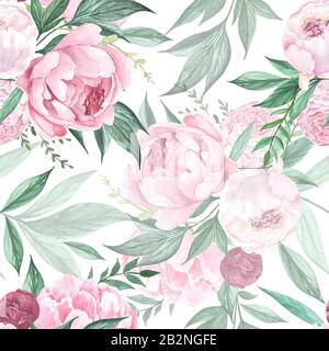 Belles pivoines roses avec des feuilles vertes sur fond blanc. Motif fleuri aquarelle sans coutures. Banque D'Images