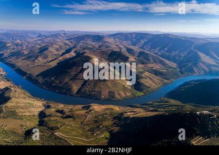 Photographie panoramique aérienne de drone de la belle vallée du Douro et du fleuve Douro près du village de Tua, avec les vineayards en terrasse. Banque D'Images