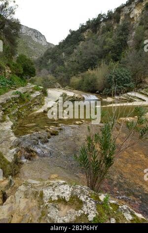 Teich, Fluss, Schlucht, Cavagrande del Cassibile, sicilia, Italie Banque D'Images