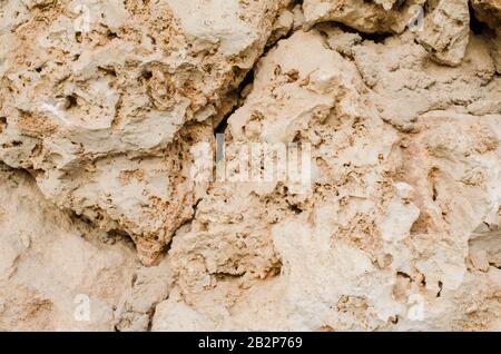 Détails de texture de grès. La texture de la pierre pour le fond Banque D'Images