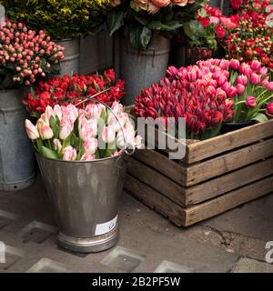 Une variété de couleurs près de la boutique Liberty à Londres. Grands bouquets en vases en étain. Banque D'Images