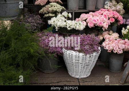 Une variété de couleurs près de la boutique Liberty à Londres. Grands bouquets en vases en étain. Banque D'Images