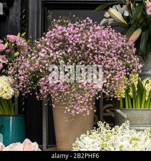 Une variété de couleurs près de la boutique Liberty à Londres. Grands bouquets en vases en étain. Banque D'Images