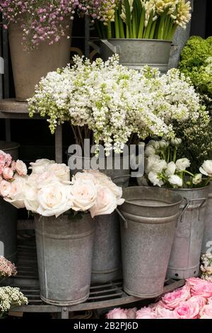 Une variété de couleurs près de la boutique Liberty à Londres. Grands bouquets en vases en étain. Banque D'Images