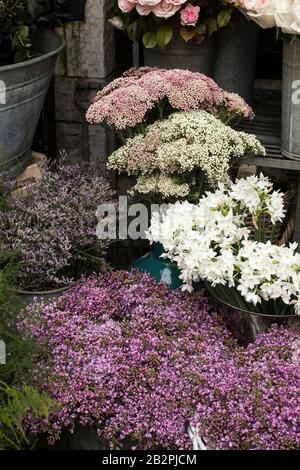 Une variété de couleurs près de la boutique Liberty à Londres. Grands bouquets en vases en étain. Banque D'Images