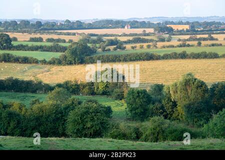 Champs sur les collines ondulantes, Napton sur la colline, près de Rugby, Warwickshire, Angleterre Banque D'Images