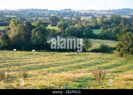 Champ montrant des preuves de bandes cultivées par des familles paysannes au Moyen âge, Napton sur la colline, près de Rugby, Warwickshire, Angleterre Banque D'Images