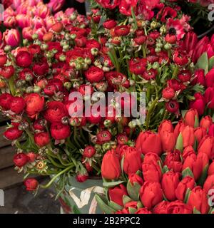 Une variété de couleurs près de la boutique Liberty à Londres. Grands bouquets en vases en étain. Banque D'Images