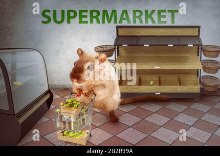 Achat de hamster en panique le supermarché vide - 3-Illustration Banque D'Images