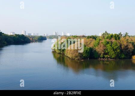 forêt de mangroves avec vue sur le lac et sur la ville, kerala kochi Banque D'Images