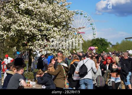 Besucher, Baumbluetenfest, Werder / Havel, Brandebourg, Deutschland Banque D'Images