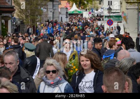 Menschen, Baumbluetenfest, Werder / Havel, Brandebourg, Deutschland Banque D'Images