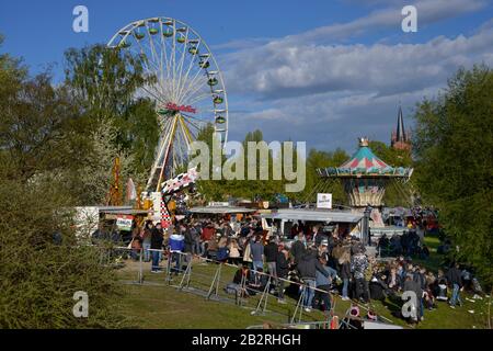 Riesenrad, Baumbluetenfest, Werder / Havel, Brandebourg, Deutschland Banque D'Images