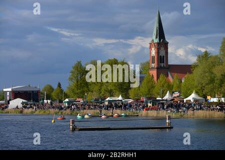 Baumbluetenfest, Werder / Havel, Brandebourg, Deutschland Banque D'Images