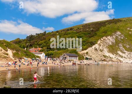 Crique de Lulworth Cove, Dorset, England, UK Banque D'Images
