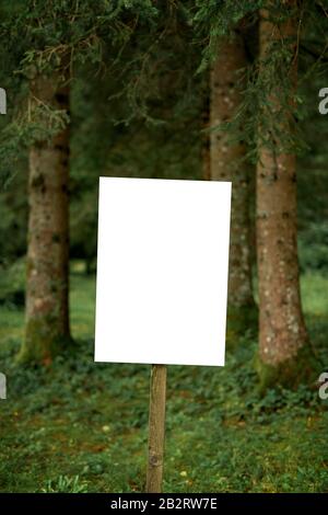 Tableau d'information blanc vide dans la forêt d'été, signalétique de l'espace de copie maquette Banque D'Images
