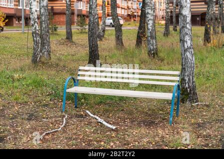 Banc sous les arbres. Parc de bouleau d'automne et banc vide. Banque D'Images