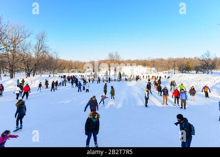 Montréal Québec Canada 1er mars 2020 : patinage au parc royal de Mount le jour ensoleillé Banque D'Images