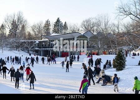 Montréal Québec Canada 1er mars 2020 : patinage au parc royal de Mount le jour ensoleillé Banque D'Images