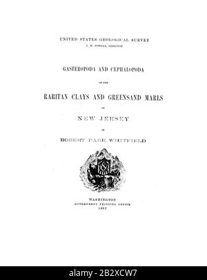 Gasteropoda et Céphalopoda des argiles et des serres de Raritan du New Jersey (Page 3) Banque D'Images