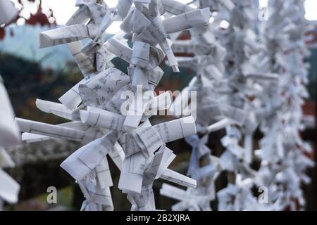 O-mikuji, papier de fortune japonais lié à la chaîne en dehors du temple d'Hasedera, préfecture de Nara, Japon. Banque D'Images