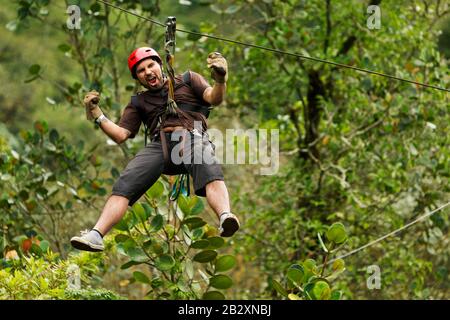 Grown Man Zip Line Adventure Dans La Forêt Tropicale Équatorienne Banque D'Images