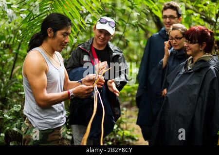 Guide Naturaliste Local Avec Le Groupe De Visiteurs De La Réserve Faunique De Cuyabeno Equateur Banque D'Images