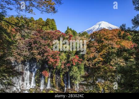 Chute D'Eau Shiraito Et Mt. Fuji Au Japon De Shizuoka Banque D'Images