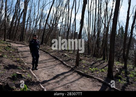 Naples, Italie. 02 février 2020. Agent de sécurité lors de l’inauguration du nouveau procès appelé « La rivière de la Lava » du Parc national du Vésuve de Naples. Le Parc national du Vésuve a été officiellement fondé le 5 juin 1995 pour préserver les espèces animales et végétales. Situé à Herculaneum (Naples), le parc est riche en ressources naturelles, histoire de la volcanologie, paysages à couper le souffle, cultures et traditions vieilles qui font de la région du Vésuve l'un des endroits les plus fascinants et les plus visités au monde. Crédit: Sopa Images Limited/Alay Live News Banque D'Images