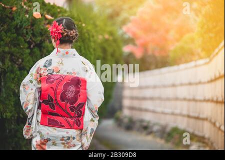 Les jeunes femmes portant un kimono japonais traditionnel avec des érables colorés en automne sont célèbres en feuilles de couleur d'automne et en cerisier au printemps, Kyo Banque D'Images