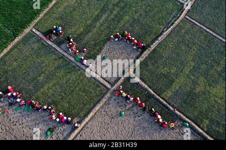 (200304) -- MIANXIAN, 4 mars 2020 (Xinhua) -- une photo aérienne prise le 3 mars 2020 montre aux villageois planter Ophiogon japonicus, une herbacée traditionnelle chinoise (TCM), dans les champs du village de Chunfeng dans le comté de Mianxian, dans la province du Shaanxi au nord-ouest de la Chine. Depuis 2018, le village de Chunfeng du comté de Mianxian a essayé de planter Ophiogon japonicus, une herbe de TCM nouvellement introduite dans le village, et a fait un succès. Le village a ensuite établi des coopératives professionnelles de plantation et de transformation pour étendre sa chaîne de production de l'herbe de TCM. Jusqu'à présent, un sta de 400 um (environ 26,7 hectares) Banque D'Images