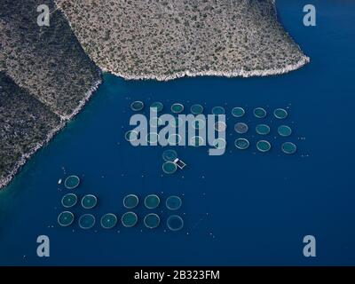VUE AÉRIENNE.Des rangées de cages flottantes en mer pour l'élevage et l'élevage de poissons.Arkadiko Chorio, Péloponnèse, Grèce. Banque D'Images