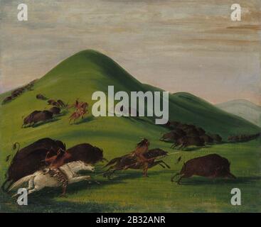 George Catlin - Buffalo Chase Sur Prairie Bluffs Banque D'Images