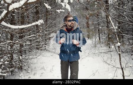 Promenades en forêt neige randonneurs Banque D'Images