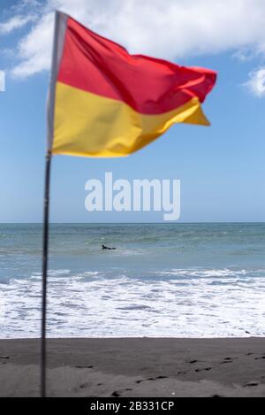 Les gens qui nagent entre les drapeaux à Oakura Beach, Taranaki, Nouvelle-Zélande en été sur la côte ouest de NZ. Banque D'Images