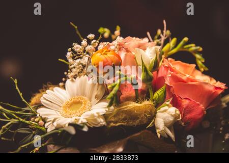 Magnifiques fleurs avec différentes couleurs sur fond de bloc Banque D'Images