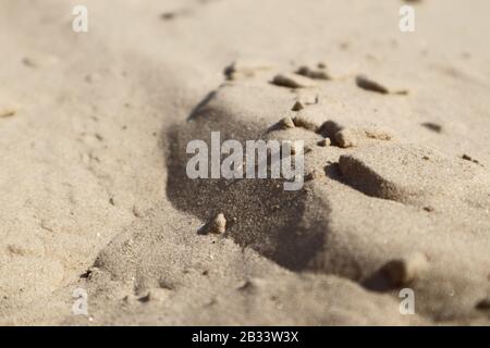 Dunes de sable macro nature rapprochée. Fond de texture naturelle de sable blanc et jaune Banque D'Images