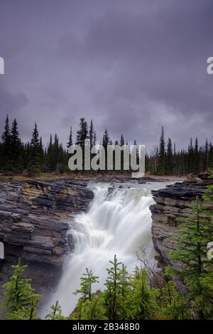Chutes Athabasca dans les montagnes Rocheuses du Canada. Entre les falaises au-dessus de l'eau a coincé des grumes. Journée nuageux dans le parc national Jasper. Banque D'Images