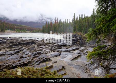 Chutes Athabasca dans les montagnes Rocheuses du Canada. Entre les falaises au-dessus de l'eau a coincé des grumes. Journée nuageux dans le parc national Jasper. Banque D'Images