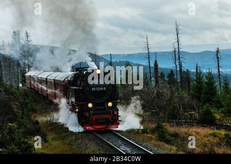 Harz Chemin De Fer À Voie Étroite Vers Le Brocken, Allemagne, Harz Banque D'Images