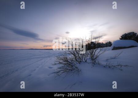 Magnifique paysage de beaucoup d'arbres sans feuilles dans un terrain enneigé au coucher du soleil Banque D'Images